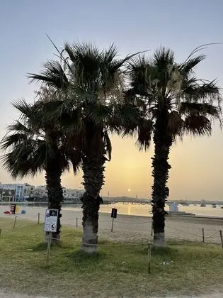 Sunset Modern Apt - Near Beach, Wifi & Cable TV - Genel