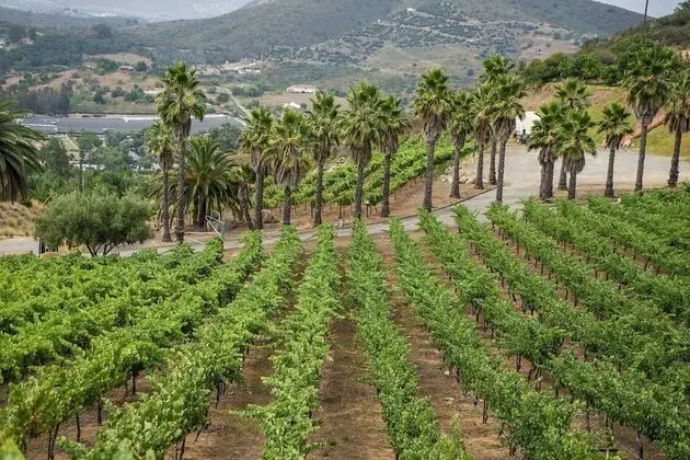 Sunshine Mountain Bed and Breakfast - Dış Mekan