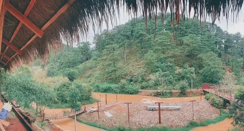 Suoi Thong Dalat - Cottage Resort - Oda Manzaraları
