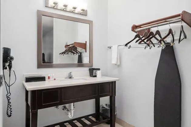 Super 8 by Wyndham Mansfield LA - Banyo Tipleri