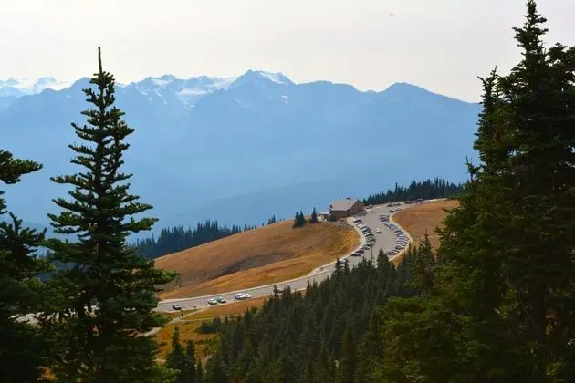 Super 8 by Wyndham Port Angeles Olympic Natl Park