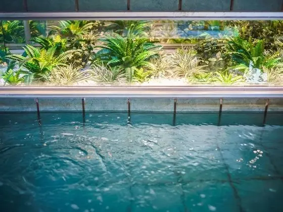 Super Hotel Kouchi Natural Hot Springs - Spa