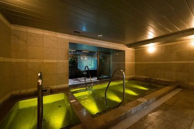 Super Hotel Premier Tokyo Station Yaesu Chuo - Spa