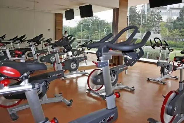 Super Suite Pool & Gym Polanco Area - Fitness