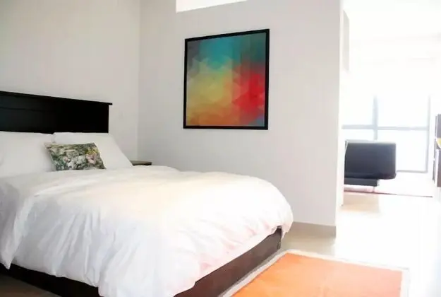 Super Suite Pool & Gym Polanco Area - Oda