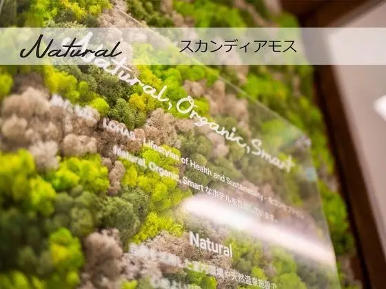 Super Hotel Tokyo Akabane eki Minamiguchi - İç Mekan