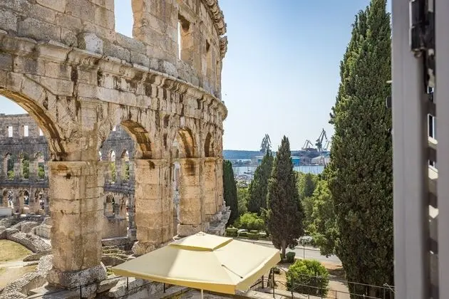 Superb Arena View
