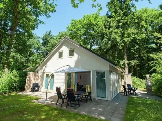 Superb Villa in the Woods of Gaasterland With Wifi and Fireplace - 1