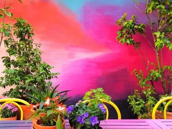 Supernova - Hostel - Dış Mekan