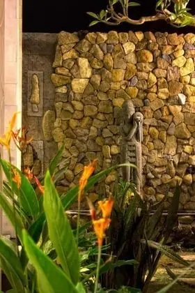 Sura Inn Ubud - Dış Mekan