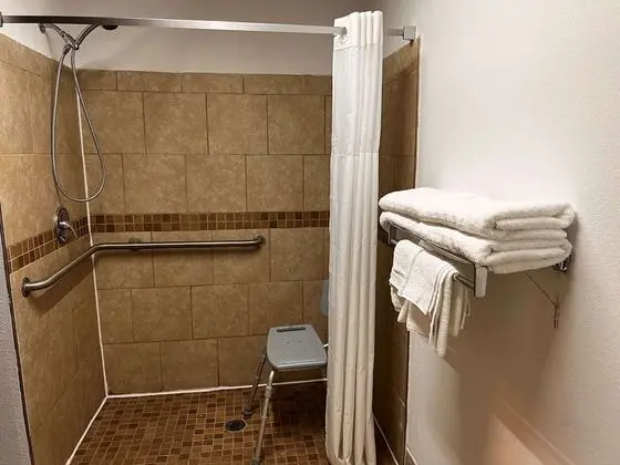SureStay Hotel by Best Western Morganton - Banyo Tipleri