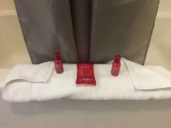 SureStay Hotel by Best Western Weimar - Banyo Tipleri