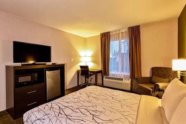 Surestay Plus Hotel By Best Western Seatac Airport - Oda