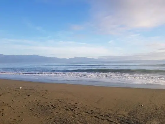 Surf & Chill Inn