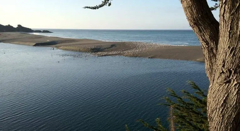 Surf Inn - Genel