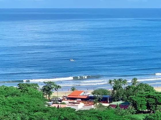 Surf Ranch Tamarindo - Dış Mekan