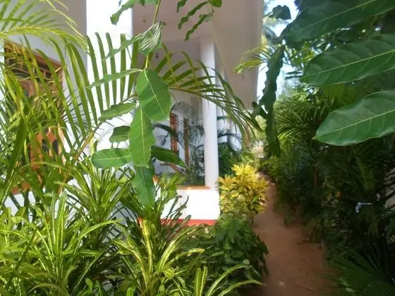 Surf & Sand Hotel