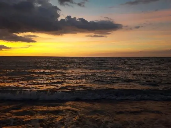 Surf Theori Resort - Plaj