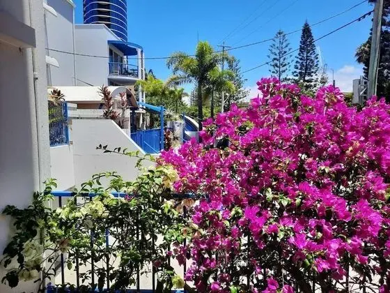 Surfers Beach Resort One - Dış Mekan