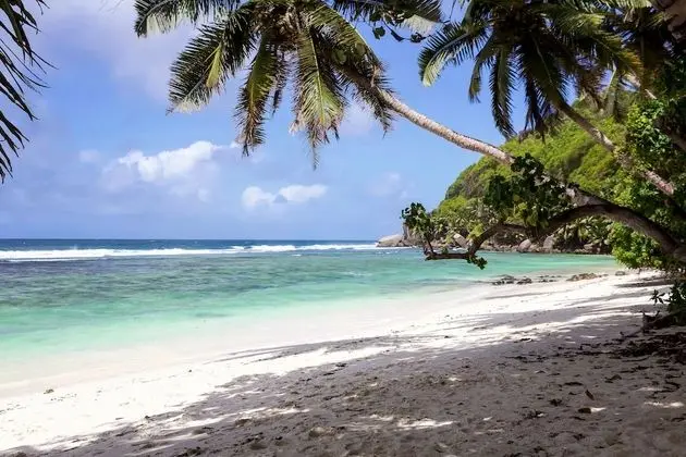 Surfers Self-Catering Chalets - Plaj