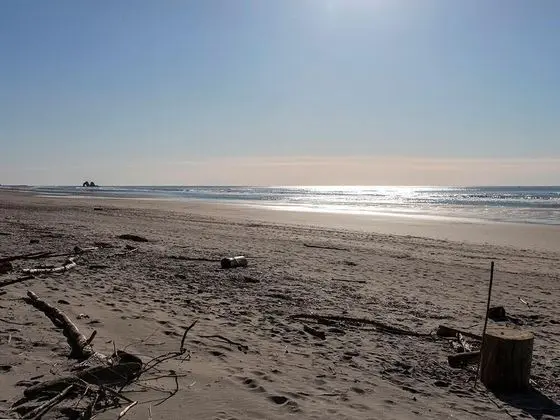 Surfside Getaway - Plaj