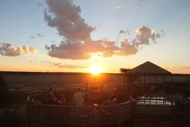 Suricate Tented Lodge - Dış Mekan