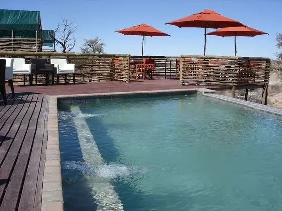 Suricate Tented Lodge - Havuz