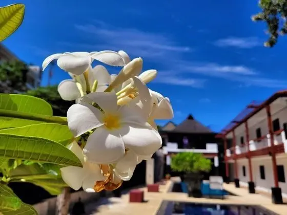 Surintra Boutique Resort - Dış Mekan