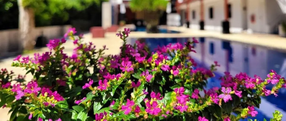 Surintra Boutique Resort - Öne Çıkan Resim