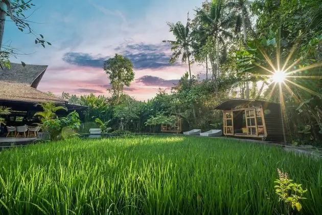 Surya Kembar Villas - Havuz