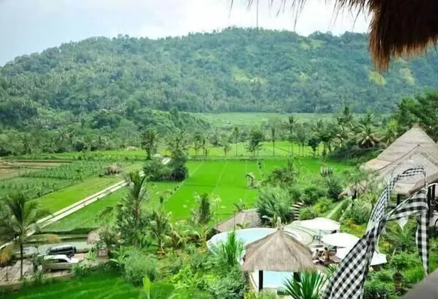 Surya Shanti Villa - Dış Mekan