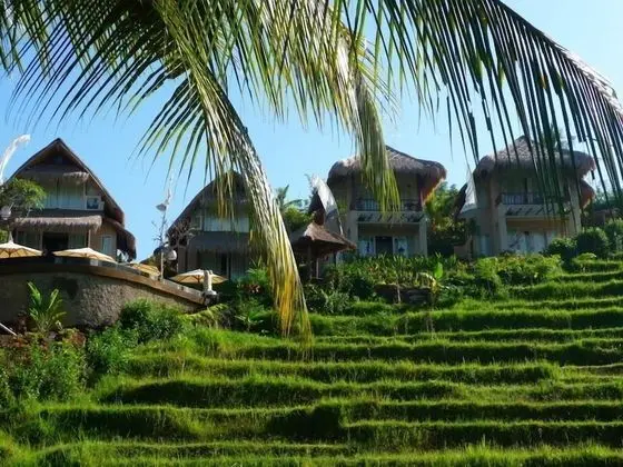 Surya Shanti Villa - Öne Çıkan Resim