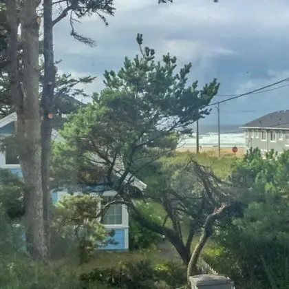 Susans Beach Cottage (MCA 1323) - Dış Mekan