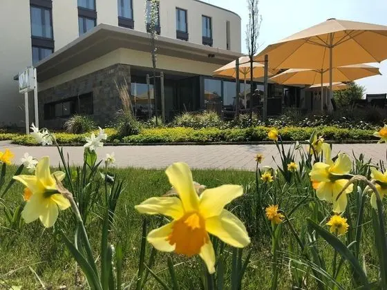 Hotel Susato - Dış Mekan