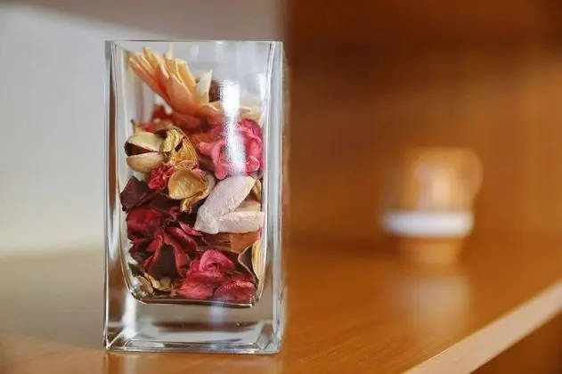 Suzana - Green Oasis - A2