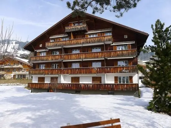 Suzanne Nr 21 Sch Nried - Oda