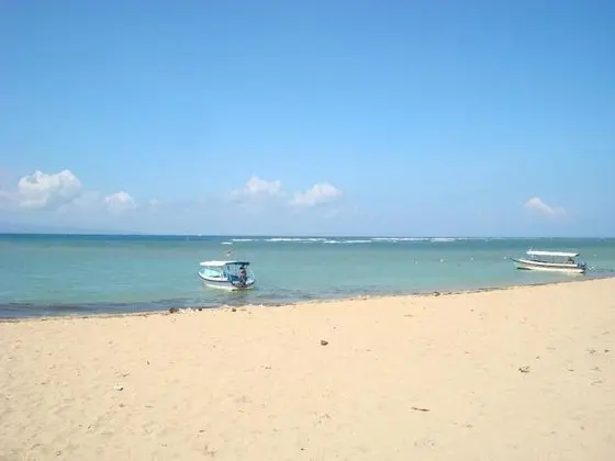 Svarna Hotel Sanur - Plaj