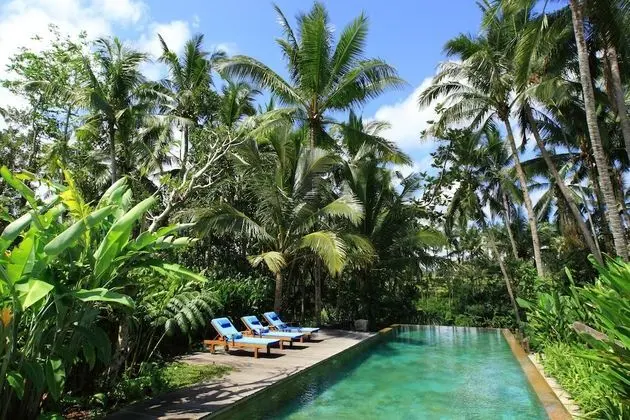 Swarapadi Villa - Havuz