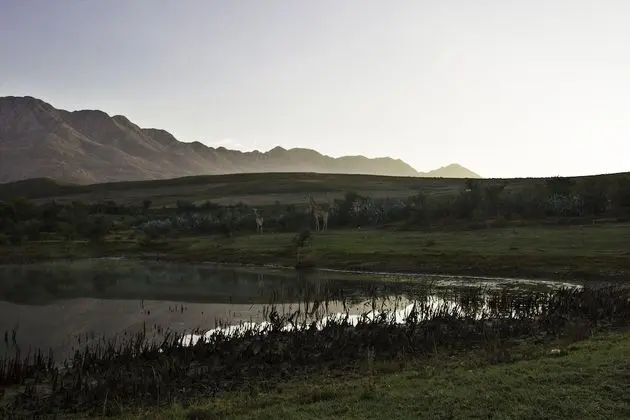 Swartberg Private Game Lodge