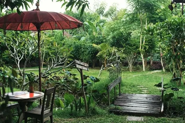 Swasti Eco Cottages - Dış Mekan