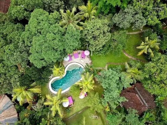 Swasti Eco Cottages - Havuz