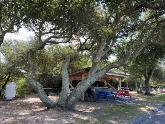 Swell Motel - Dış Mekan