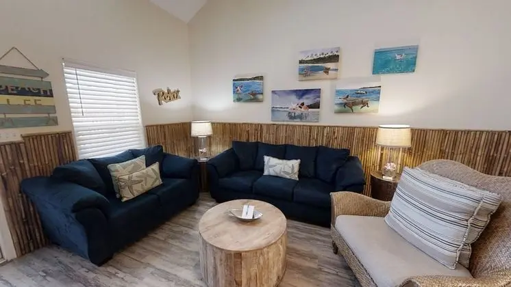 Swimming With Pigs-14920