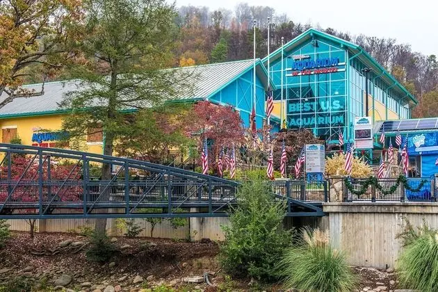 Swiss Bear Haus
