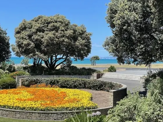 Swiss-Belboutique Napier