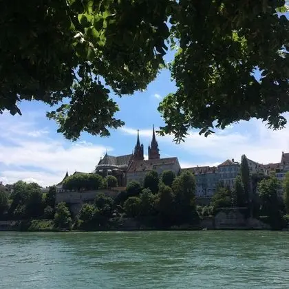 In Swiss Home Rhine Riverside