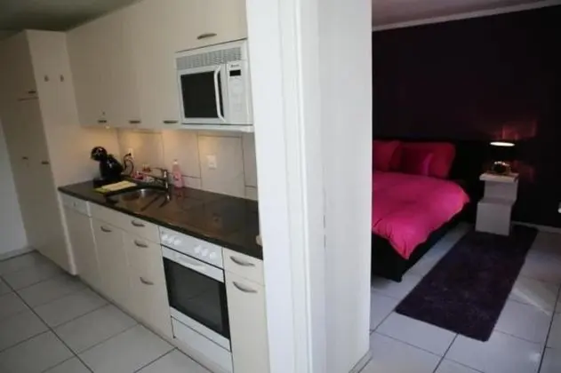 Swiss Interlaken Apartment - Mutfak