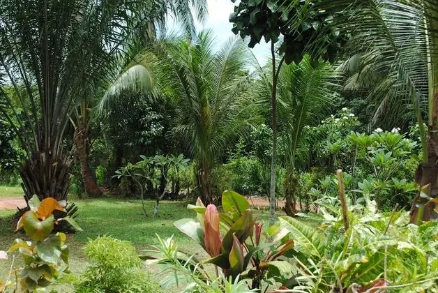 Swiss Sawasdee Koh Mak - Dış Mekan