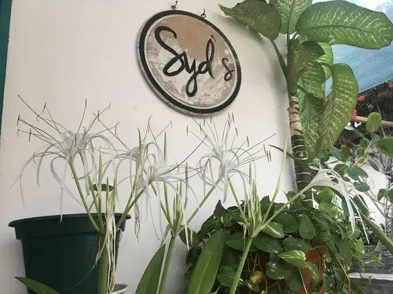 Syds Guesthouse I - Dış Mekan