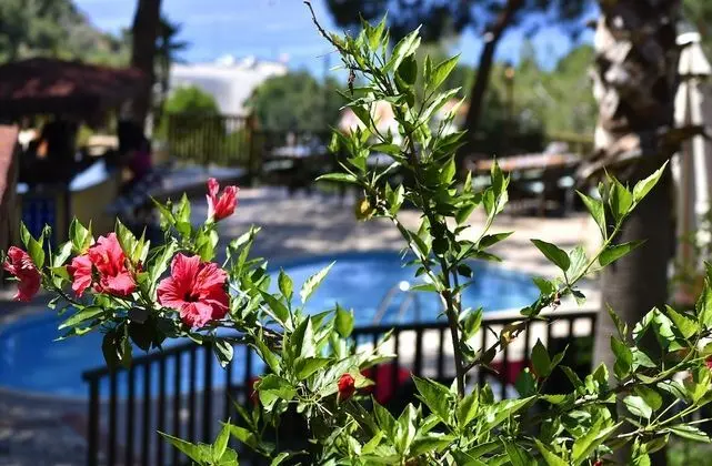 Symbola Ölüdeniz Beach Hotel - Havuz
